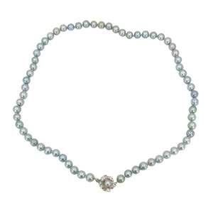 Quality Blue Vintage Mid Century Japanese Saltwater Cultured Akoya Pearl Necklace - Silver 17.75 Inch