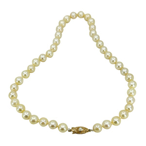 Golden Cream Japanese Saltwater Akoya Cultured Pearl Vintage Choker Necklace - 18K Rose Gold 14.50 Inch