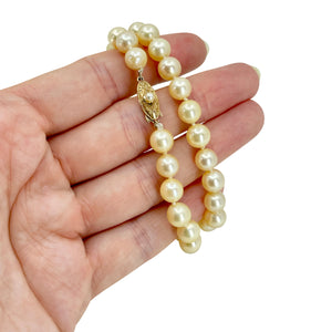 Golden Cream Japanese Saltwater Akoya Cultured Pearl Vintage Choker Necklace - 18K Rose Gold 14.50 Inch