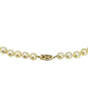 Golden Cream Japanese Saltwater Akoya Cultured Pearl Vintage Choker Necklace - 18K Rose Gold 14.50 Inch