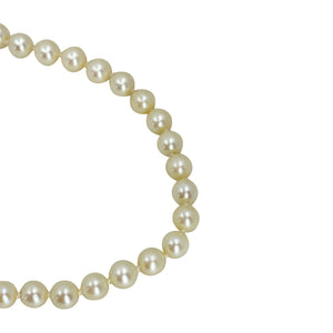 Quality Vintage Japanese Saltwater Akoya Cultured Pearl Necklace - Sterling Silver 19.75 Inch