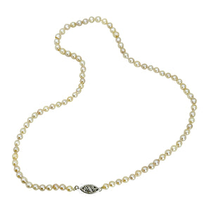 Petite Retro Choker Japanese Saltwater Cultured Akoya Pearl Necklace - 10K White Gold 14.75 Inch
