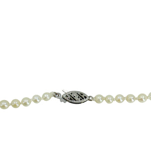 Choker Vintage Modern Japanese Saltwater Akoya Cultured Pearl Necklace - 10K White Gold 15.25 Inch