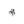 Clover Fuji Pearl Designer Akoya Saltwater Cultured Pearl Screwback Earrings- Sterling Silver