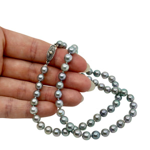 Medium Blue Vintage Mid Century Japanese Saltwater Cultured Akoya Pearl Necklace - Silver 18.50 Inch