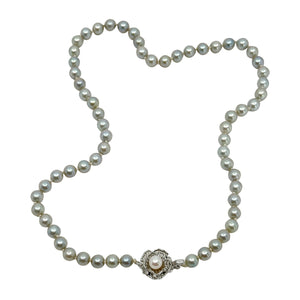 Light Gray Vintage Mid Century Japanese Saltwater Cultured Akoya Pearl Necklace - Silver 17.75 Inch
