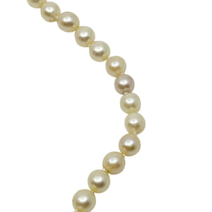 8.50mm Large Japanese Saltwater Akoya Cultured Pearl Vintage Necklace - 14K White Gold 21 Inch