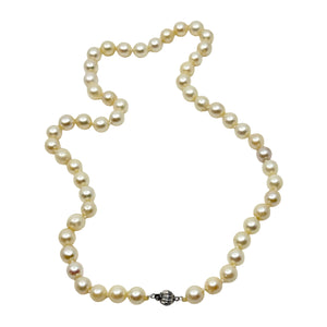 8.50mm Large Japanese Saltwater Akoya Cultured Pearl Vintage Necklace - 14K White Gold 21 Inch