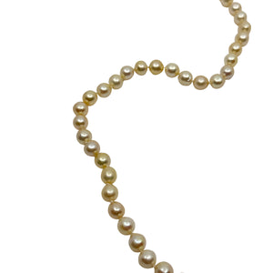 Baroque Light Golden Cream Japanese Saltwater Akoya Cultured Pearl Necklace - 34.50 Inch