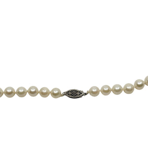 Vintage Filigree Choker Japanese Saltwater Akoya Cultured Pearl Necklace - Sterling Silver 16.25 Inch