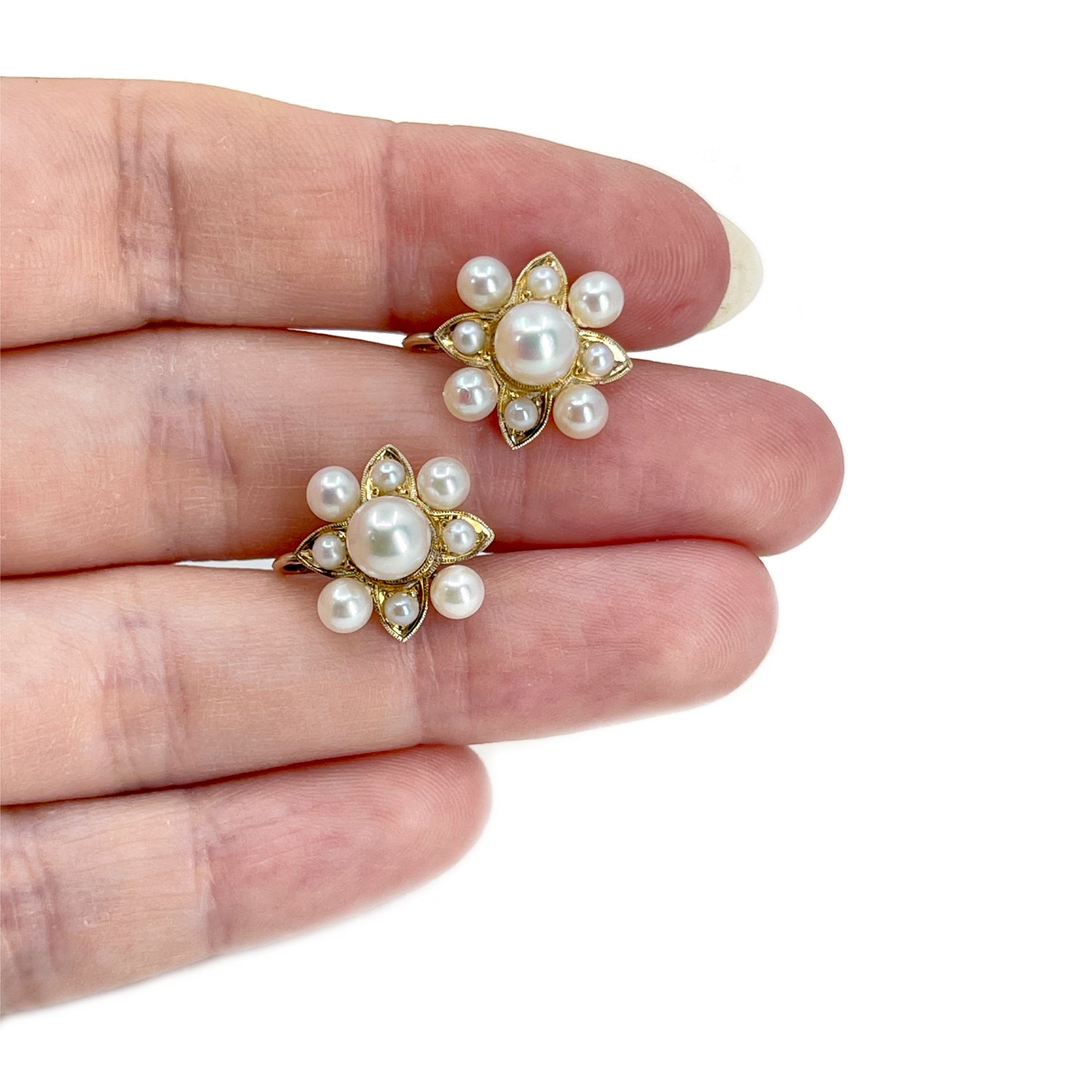 Victorian Akoya Saltwater Cultured Seed Pearl Screwback Earrings- 10K Yellow Gold