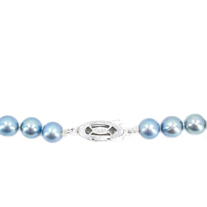 Blue Japanese Saltwater Cultured Akoya Pearl Vintage Necklace Choker - Sterling Silver 15.75 Inch