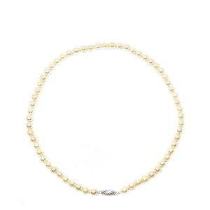 Cream Japanese Saltwater Cultured Akoya Pearl Strand - 14K White Gold 17.50 Inch