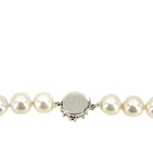 Stunning Retro Cultured Akoya Pearl Strand - 14K White Gold & Natural Blue Sapphire 17.50 Inch