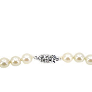 Modernist Choker Japanese Saltwater Cultured Akoya Pearl Necklace Original Leather Case- 14K White Gold 15.50 Inch
