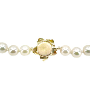 Sakura Vintage Mid-Century Japanese Saltwater Akoya Cultured Pearl Bracelet- 14K Yellow Gold