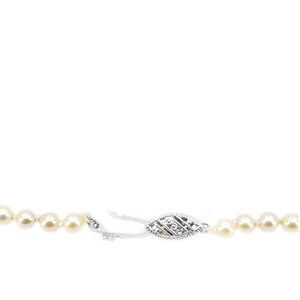 Seed Pearl Japanese Saltwater Cultured Akoya Pearl Strand - 10K White Gold 20 Inch