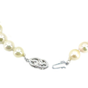 Japanese Intertwined Hearts Saltwater Akoya Cultured Pearl Bracelet- Sterling Silver