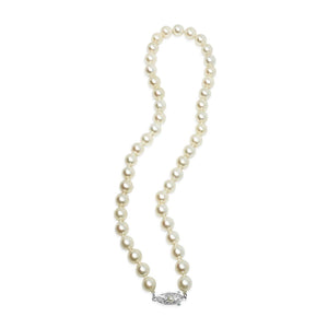Classic Japanese Cultured Saltwater Akoya Pearl Necklace- Sterling Silver