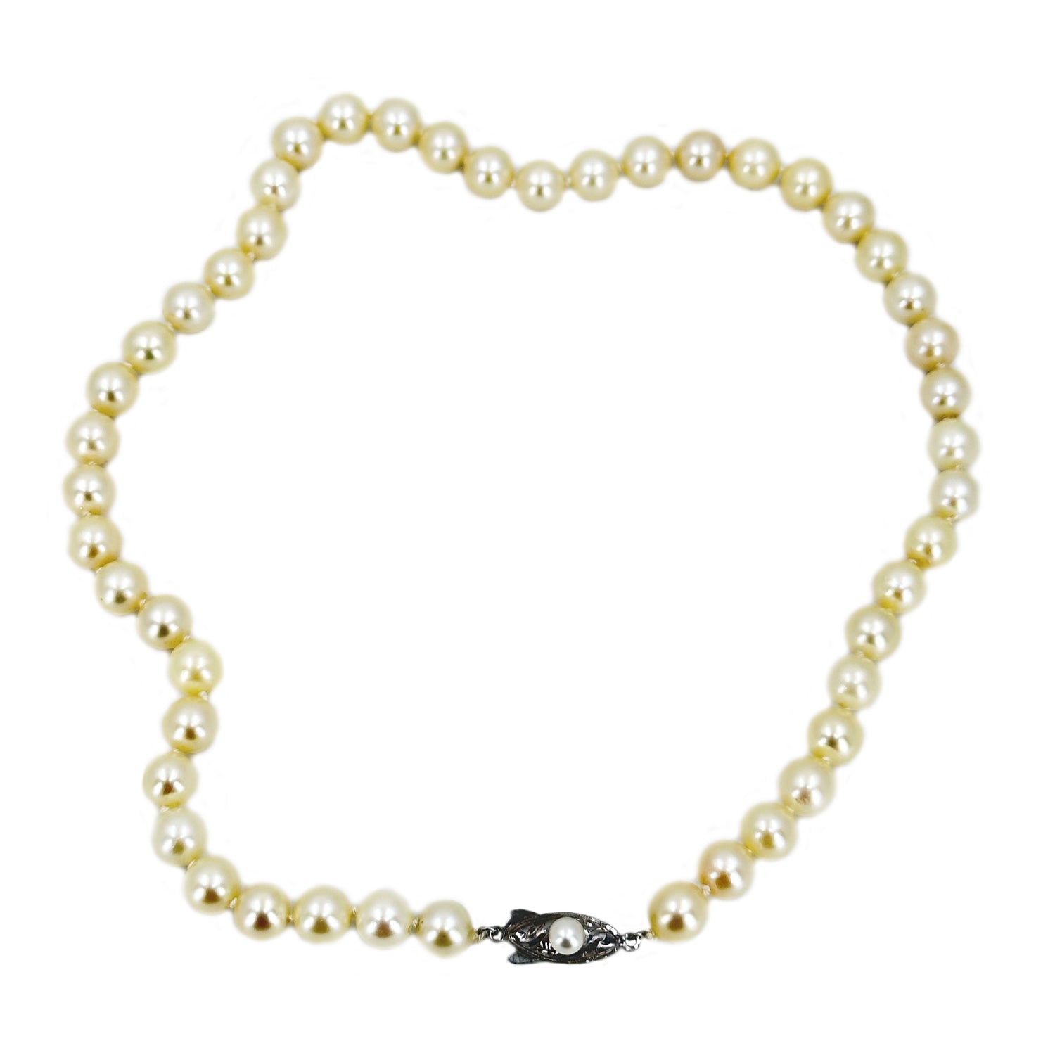 Vintage Cream Choker Japanese Saltwater Cultured Akoya Pearl Necklace - Sterling Silver 15.50 Inch