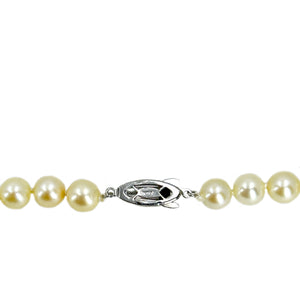 Vintage Cream Choker Japanese Saltwater Cultured Akoya Pearl Necklace - Sterling Silver 15.50 Inch