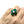 Chrysoprase Tablet Retro Japanese Saltwater Akoya Cultured Pearl Vintage Ring- Sterling Silver Sz 6 1/4