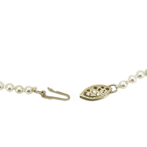 Choker Petite Graduated Japanese Cultured Saltwater Akoya Pearl Necklace - 14K Yellow Gold 14.50 Inch