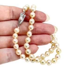 Cream Light Golden Japanese Saltwater Cultured Akoya Pearl Vintage Choker Necklace - Sterling Silver 16 Inch
